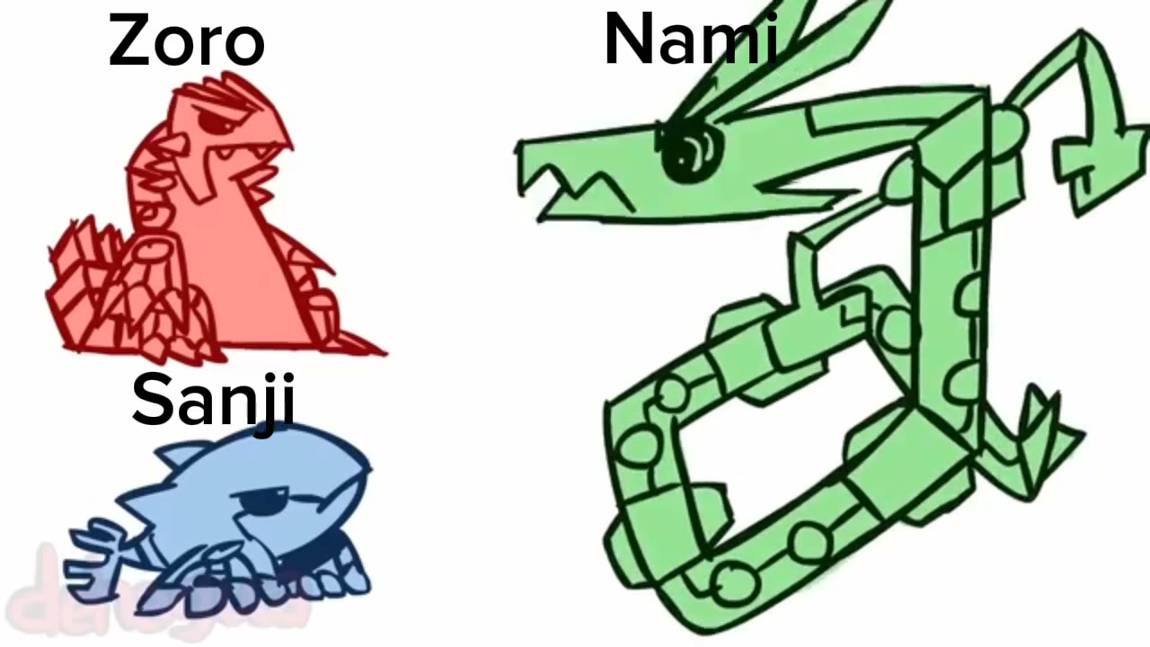 O DIA A DIA DA NAMI NO BANDO DOS CHAPÉUS DE PALHA