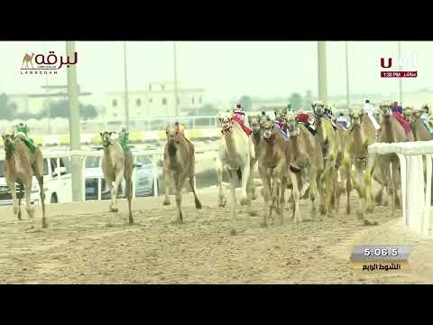 ش4 مغادر ل عبدالله جارالله علي المري مهرجان سمو الأمير الوالد 15 02 2025 لقايا قعدان إنتاج7 29 37