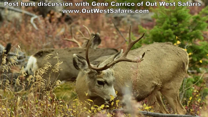 Talking with Outfitter Gene Carrico of Out West Sa...