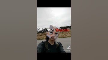 Thumbnail of #funny #bunny #cat #cute #fox #music #song #fursuit #love #therain
