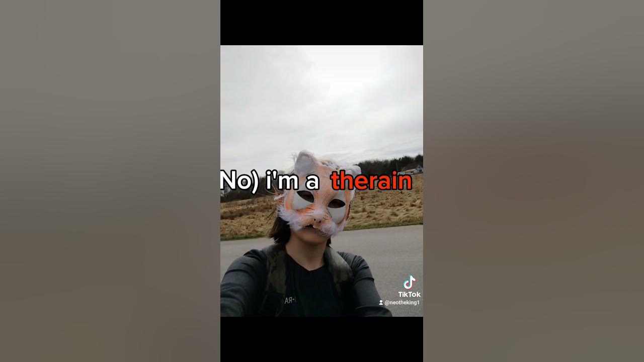 #funny #bunny #cat #cute #fox #music #song #fursuit #love #therain