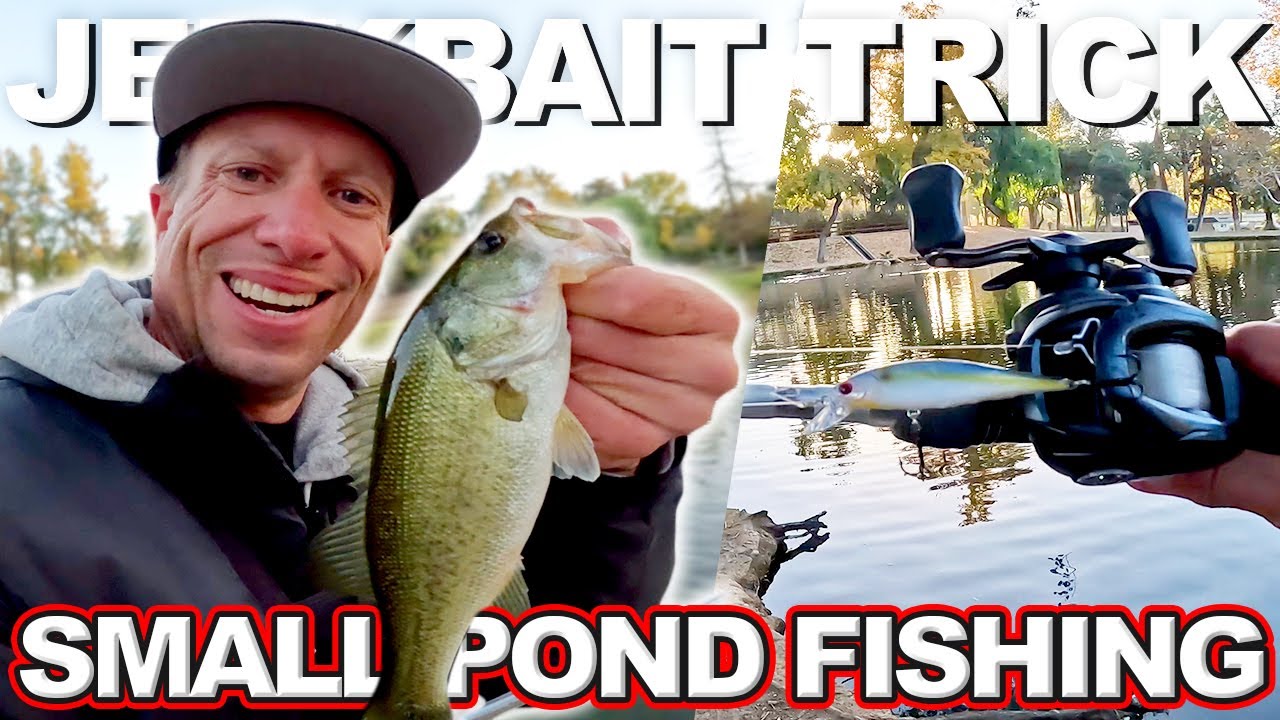 Jerk Bait Tricks for Small Pond Fishing BRENT EHRLER