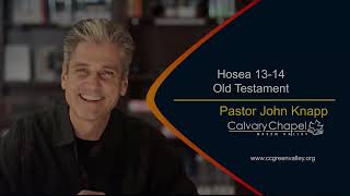 Hosea 13 - 14