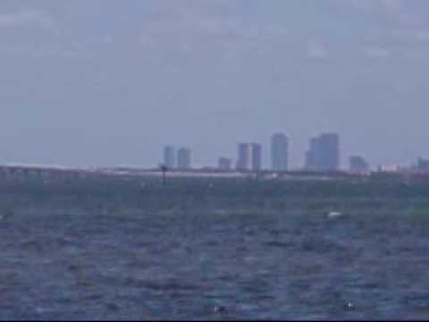 riverdale Weedon Island Skunk Ape?