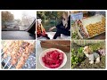 VLOG :КРАСНАЯ КАПУСТА/ КАК Я НА ЭТО ПОДПИСАЛАСЬ/ ВЫХОДНЫЕ /ВЫКЛЮЧИЛИ СВЕТ