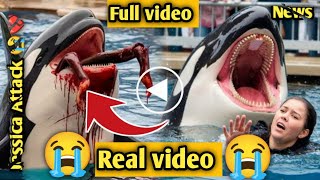 Download Lagu Jessica Radcliffe orca attack 🐬@abdullahkevolg07 MP3 Download Lagu Jessica Radcliffe orca attack 🐬@abdullahkevolg07 MP3