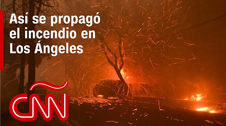 Resumen de los incendios en Los Ángeles, California: daños, víctimas y noticias - 8 de enero