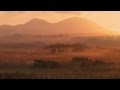 【癒し・ヒーリングBGM】懐かしい童謡が心を落ち着かせるリラックスピアノ曲集01(1時間)