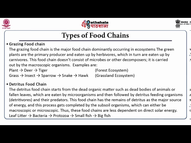 M-05. Food chains and Food webs