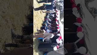 Geerarsaaf Eebba Milishaa