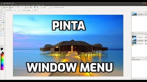 Pinta: Window Menu