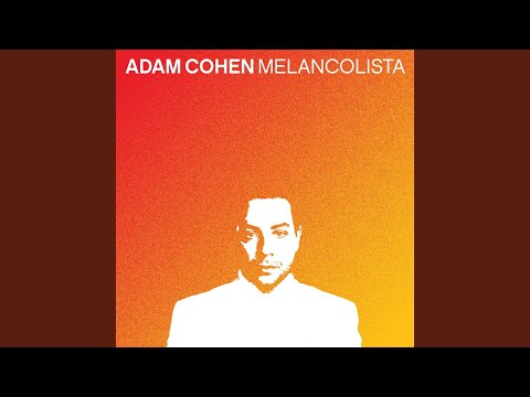 Adam Cohen - Happiness mp3 ke stažení