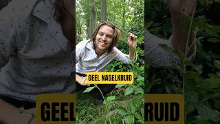 💅 Hoeveel vruchtjes vond ik terug in mijn haar? Doe eens een gokje 🤭 #natuur #plant #biologie