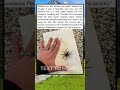 Thought it was a tarantula. Turns out it's my new bouncer. 🕷️👊🚫