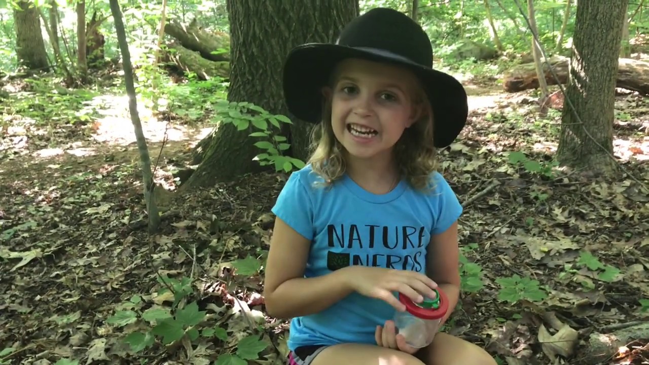 Nature Nerds, Insects - YouTube