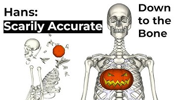 Innovation Down to the Bone: Meet Hans, the Scarily Accurate Human Body Model