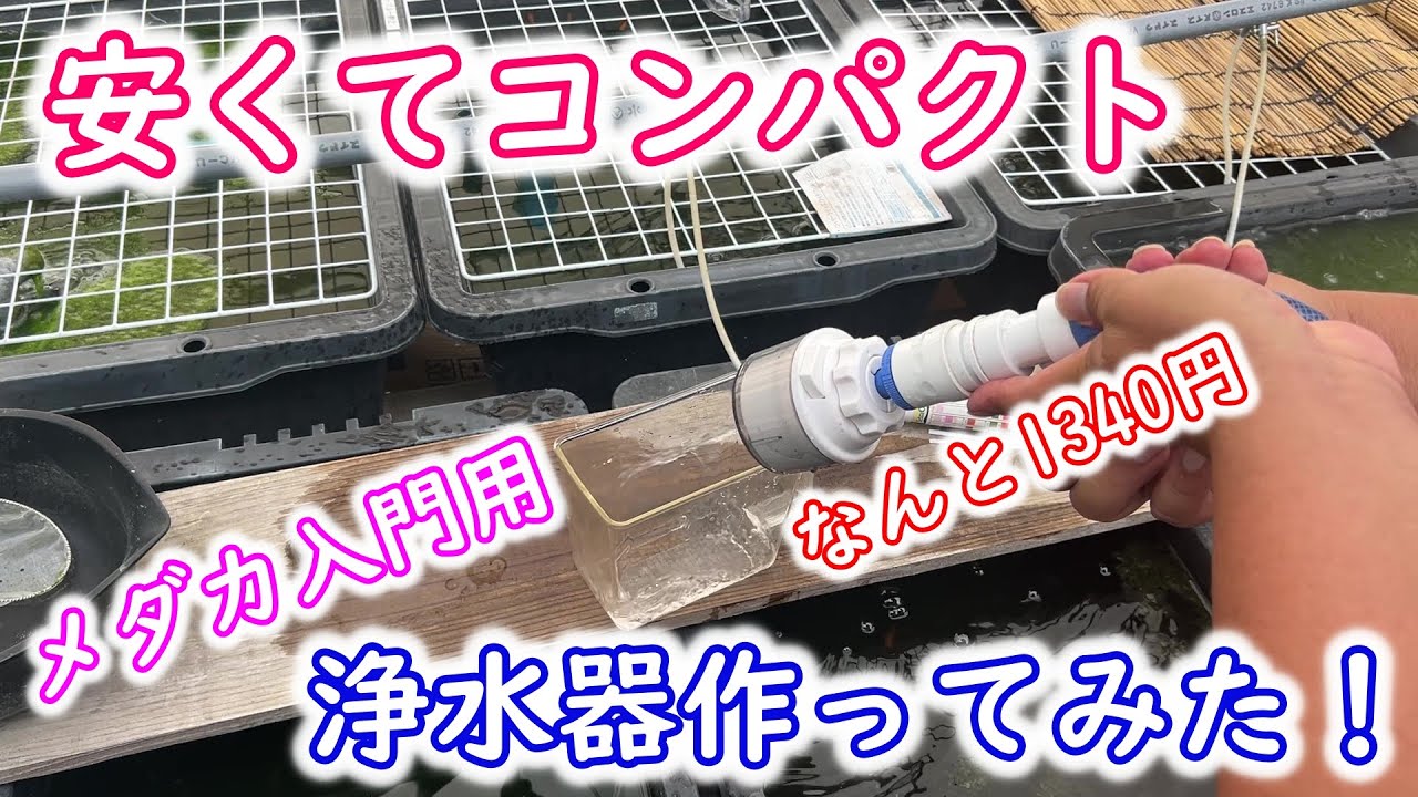 めだか】メダカ入門用の浄水器を格安で作りました。B型おやじ - YouTube