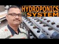 How to make hydroponics system at home part  3