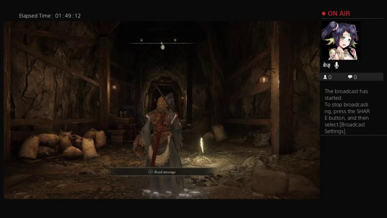 Kiji Plays Elden Ring