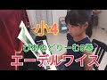 小4　エーデルワイス　ぴあのどりーむ5巻