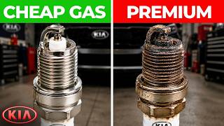 We Tested Cheap vs Premium Gas in a Kia Telluride for 50,000 Miles | The Winner Surprised Us!
