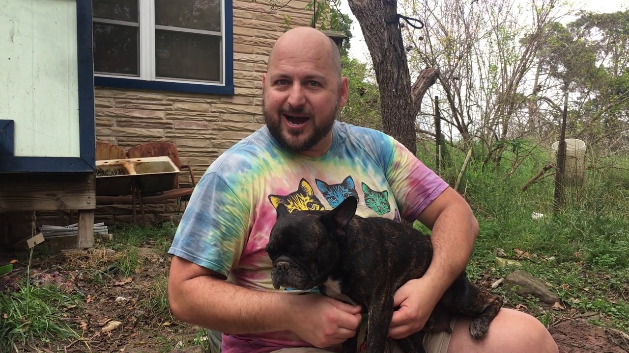 WWOOFUSA // AQUAPONICS AND DOGSDOGSDOGS!! IN TEXAS YouTube