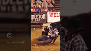 Winning 🏆 #bulldogging #midwesthorsefair #rodeo  #steerwrestling