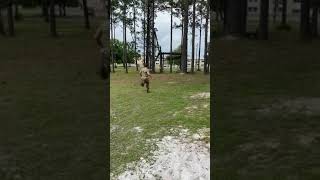 Camp Blanding Obstacle Course