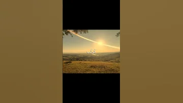 سورة النور أية ٣٥ القارئ محمد صديق المنشاوي 