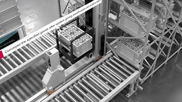 Maxrac AGV Cart + Miniload Automatic Storage Project: