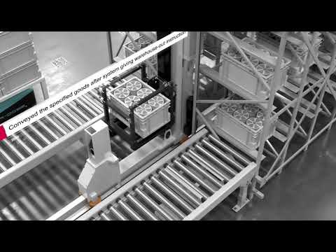 Maxrac AGV Cart + Miniload Automatic Storage Project: