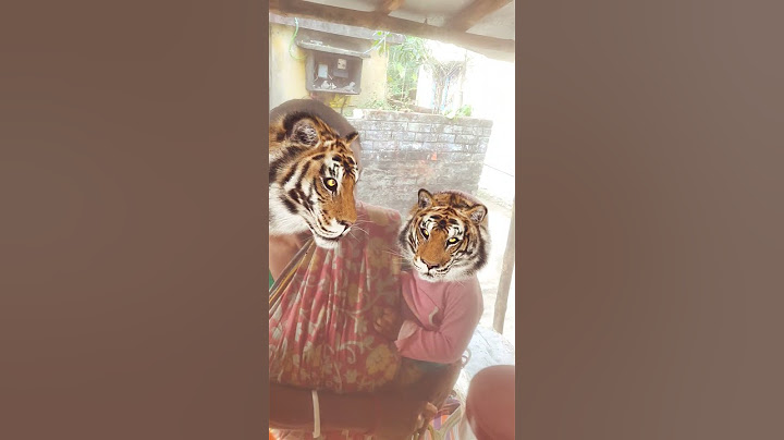 Ada Paavi 😱 real end twist 🤣 #shorts #trending #funny #comedy #cpsaicharan #viralvideo