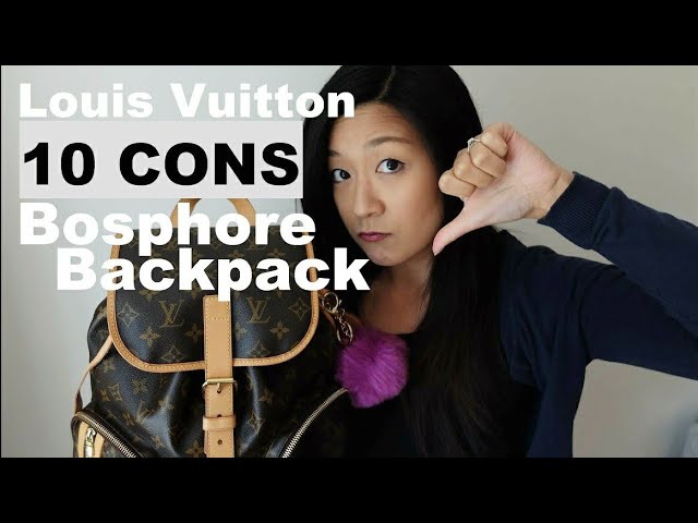 LOUIS VUITTON Bosphore Backpack – Vintylux