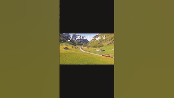 تلاوة خاشعة مؤثرة تهز القلب من الذكر الحكيم #quran #اللهم_اجعل_القرآن_ربيع_قلوبنا #تفاعل #اكسبلور