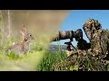 PHOTOGRAPHING RABBIT P2 | Wildlife photography in PORTUGAL - Behind the scenes photography wildlife
