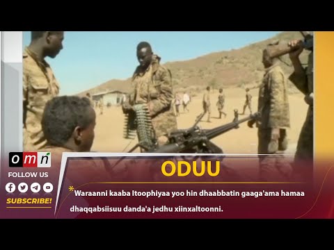 Waraanni Kaaba Itoophiyaa Yoo Hin Dhaabbatin Gaaga Ama Hamaa Dhaqqabsiisuu Danda A Jedhu Xiinxaltoon