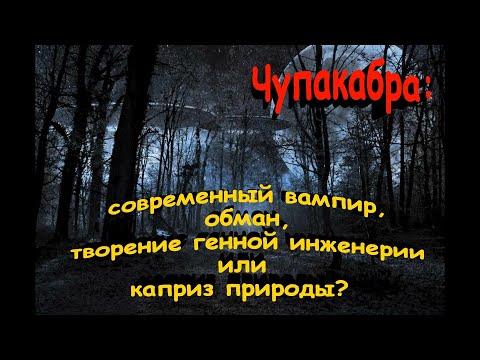 Чупакабра: современный вампир, обман, творение генной инженерии или каприз природы?