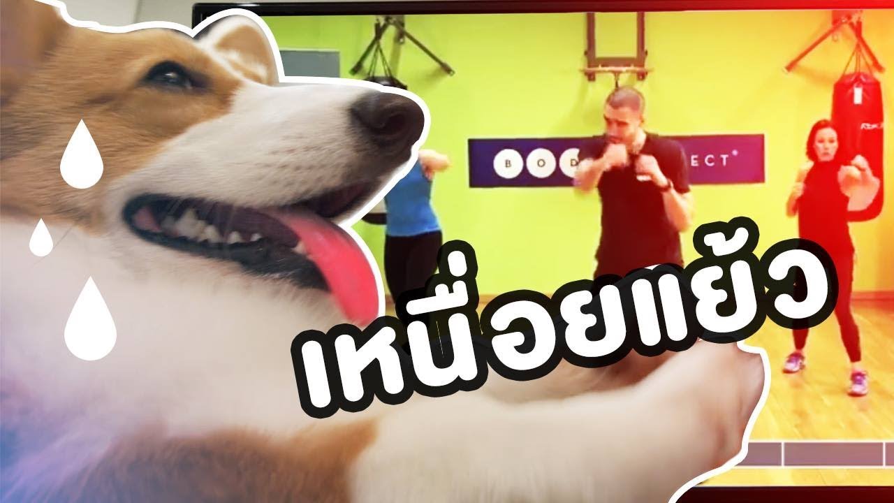 ขุนแผน ลดน้ำหนัก