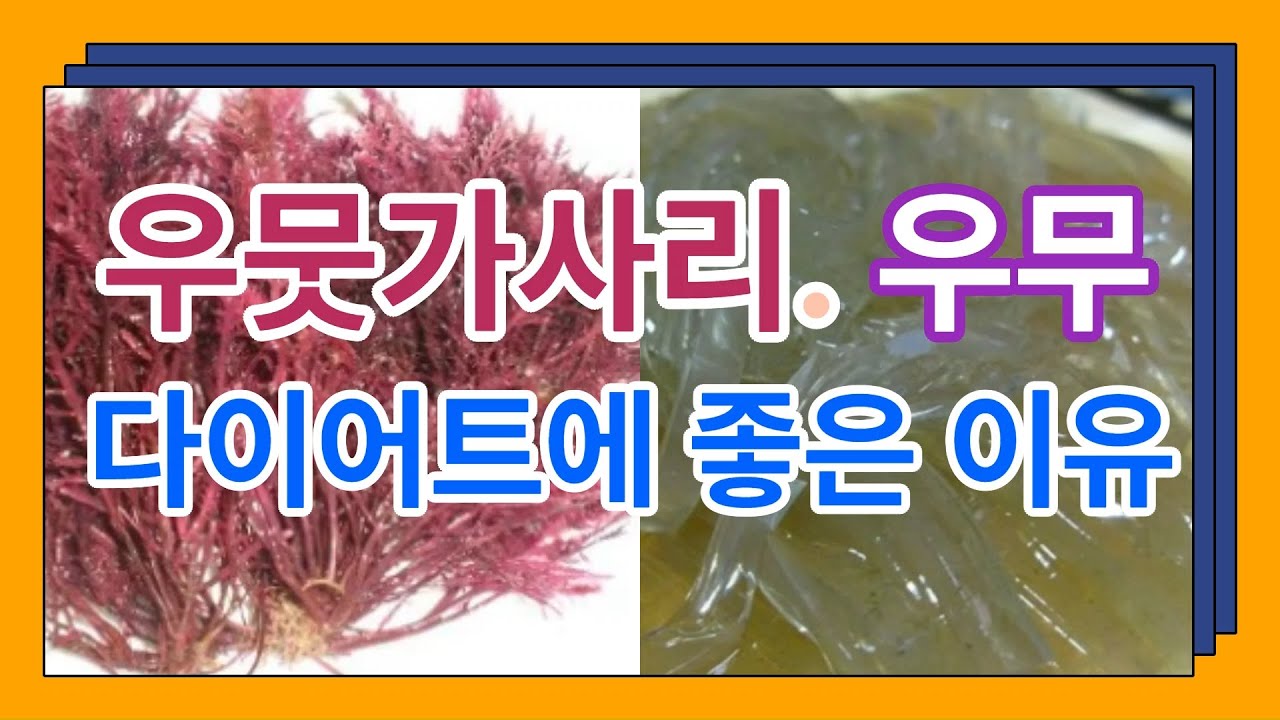 자연의 건강식품, 우뭇가사리(우무)의 놀라운 다이어트 효과와 활용법 - YouTube