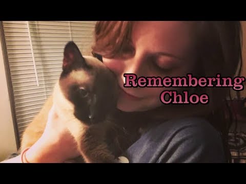 Remembering Chloe