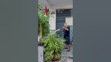 Bứt phá năng suất: Máy bắn đinh bê tông Nailstask & máy khoan rút lõi Sfunpro cho hiệu quả gấp đôi