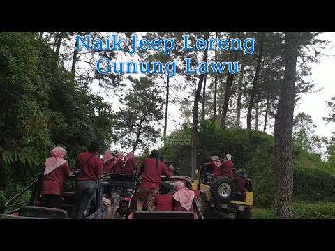 Naik Jeep Lereng Gunung Lawu | Keliling Hutan Gunung Lawu Naik Jeep | Alam Hutan Gunung Lawu