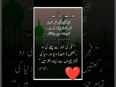 Islamic Sad Whatsapp Status Music Arabic топ Islamabad Love Duetplease Subscribe For More Videos  Islamic Sad Whatsapp Status Music Arabic топ Islamabad Love Duetplease Subscribe For More Videos