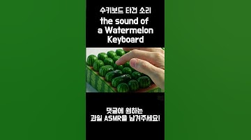 수박 키보드 ASMR Watermelon Keyboard AI ASMR