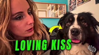 Loving Dog Kisses Its Owner After She Asks for a Kiss
