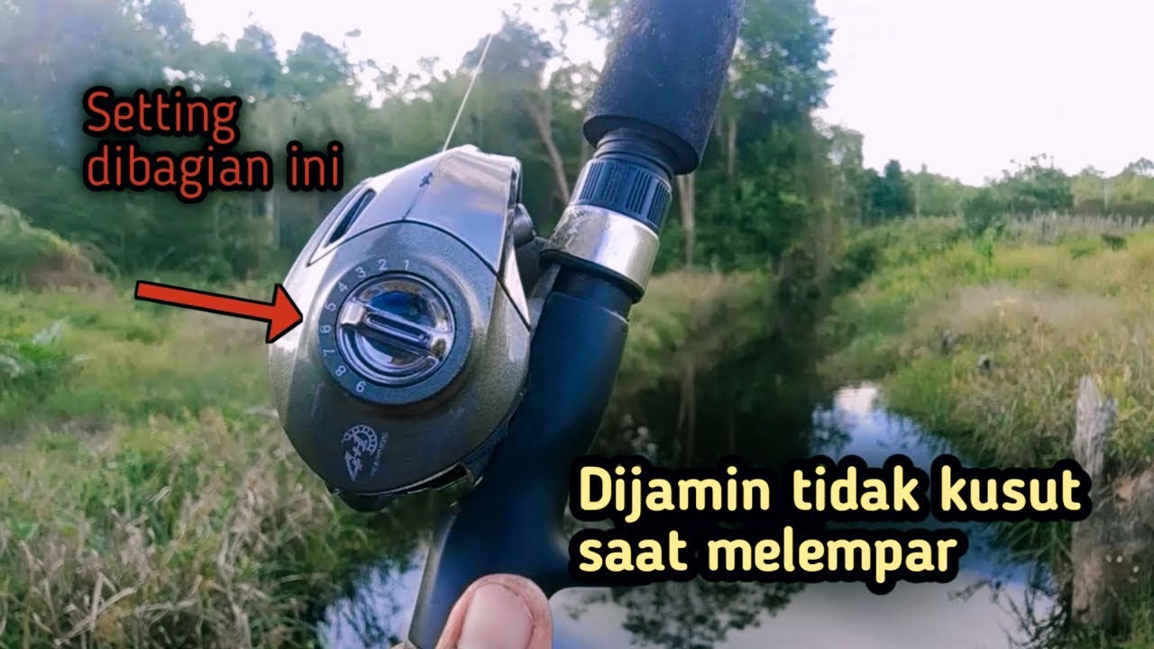 Cara setting reel bc agar tidak kusut bagi pemula dijamin langsung bisa| Tutorial reel BC