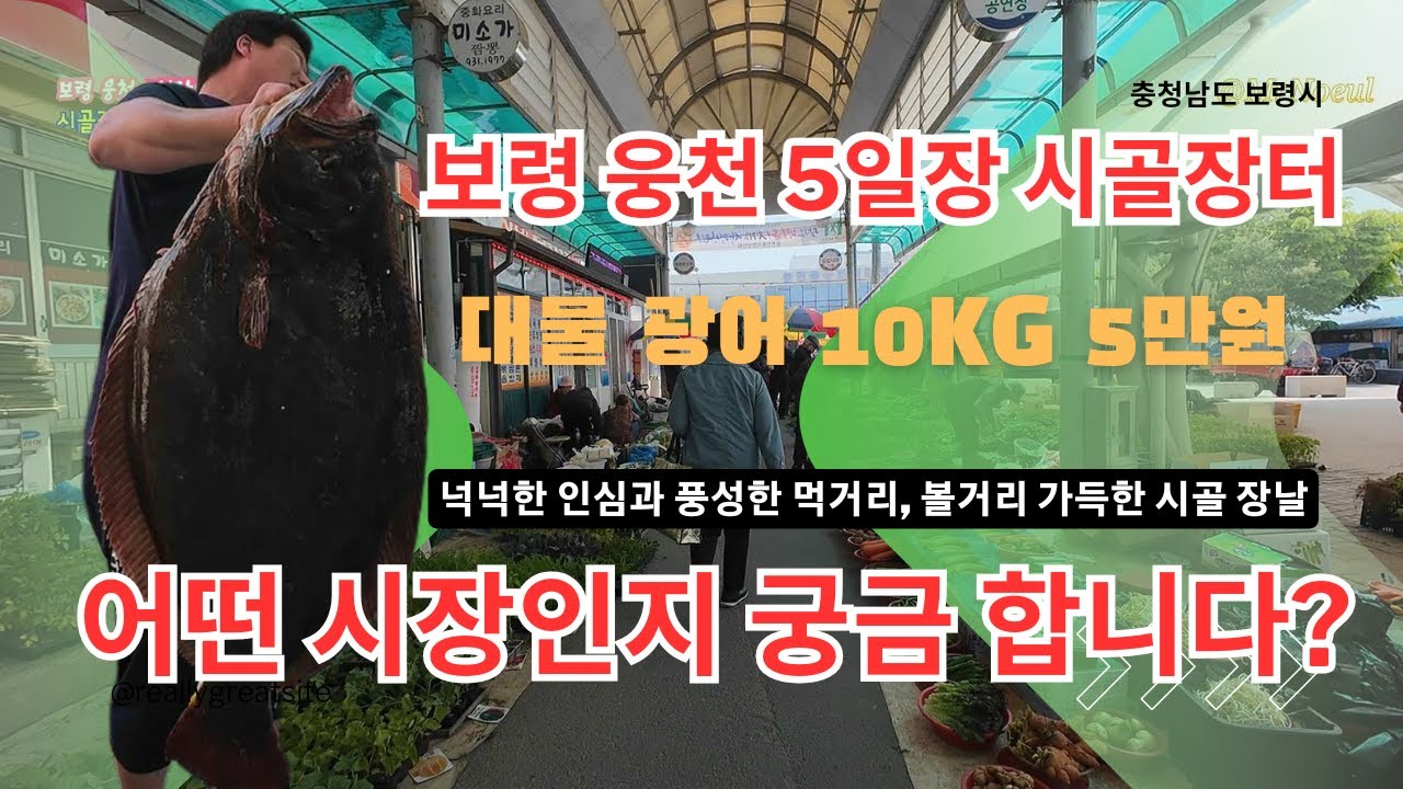 보령 웅천 5일장 시골장터 하이라이트 모음 / 어떤 시장인지 궁금합니다?