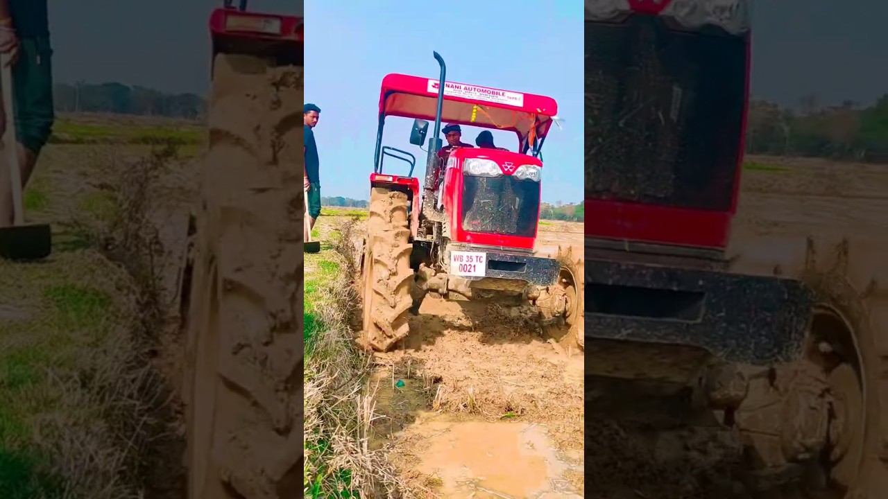 Massey Ferguson 254 DI 4WD 50HP | Ultimate Field Work Test 🔥 | 