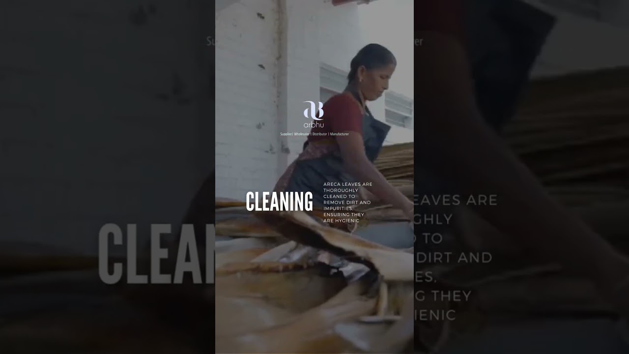 The best Natural Eco-friendly plates you can have!