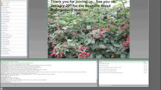 Bramble Production - High tunnels and cross arm trellis